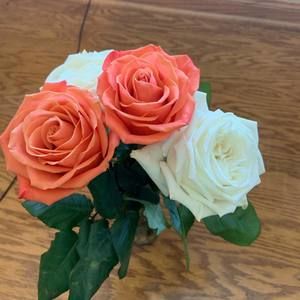 Meet your Posher, Jay